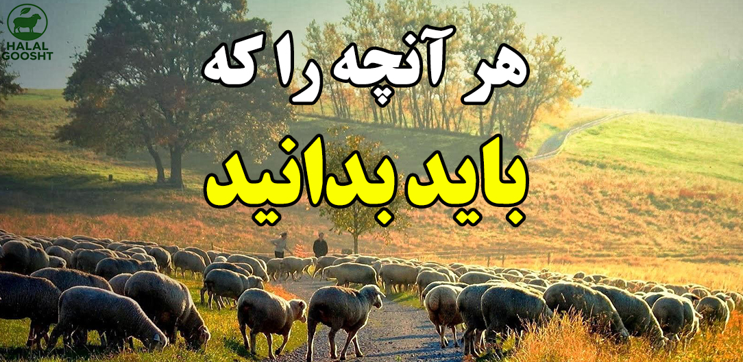 هر آنچه که باید بدانید