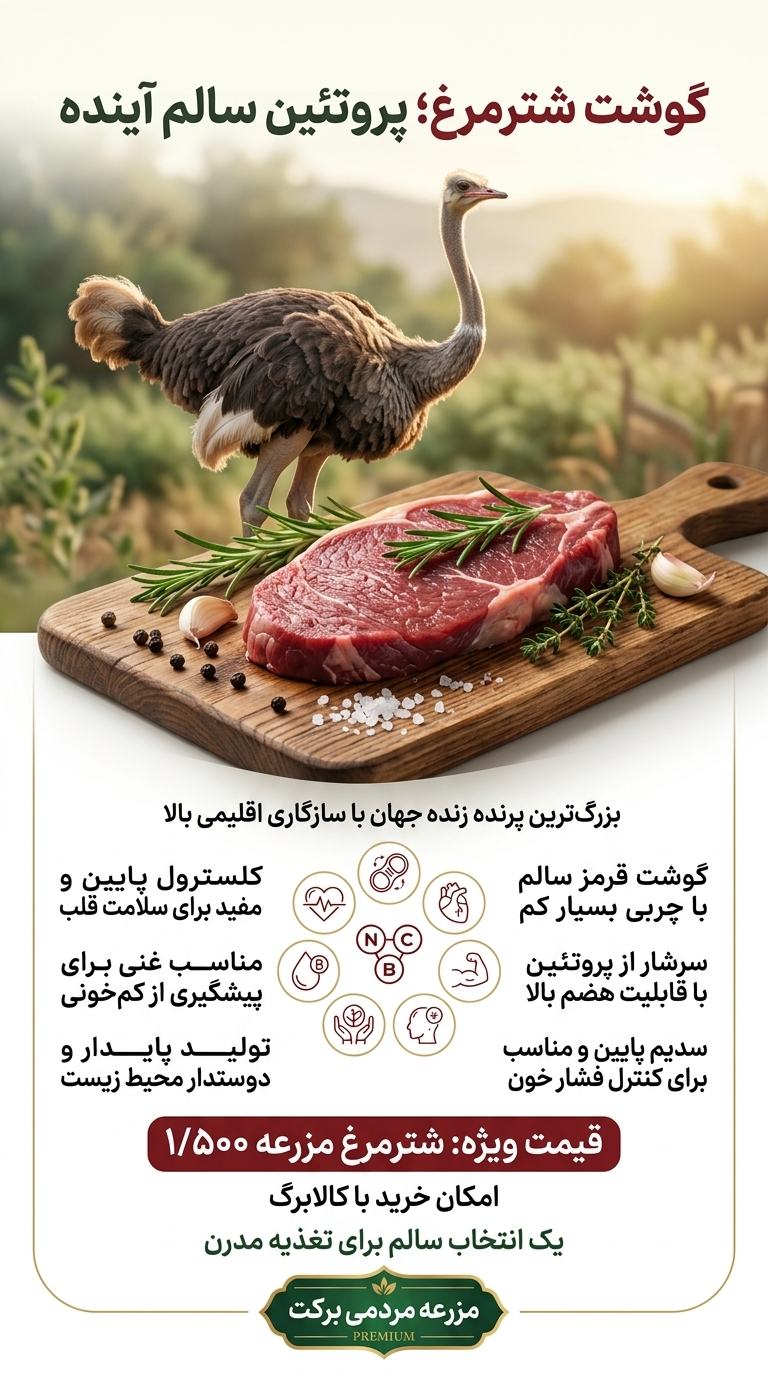 فواید شترمرغ مزرعه