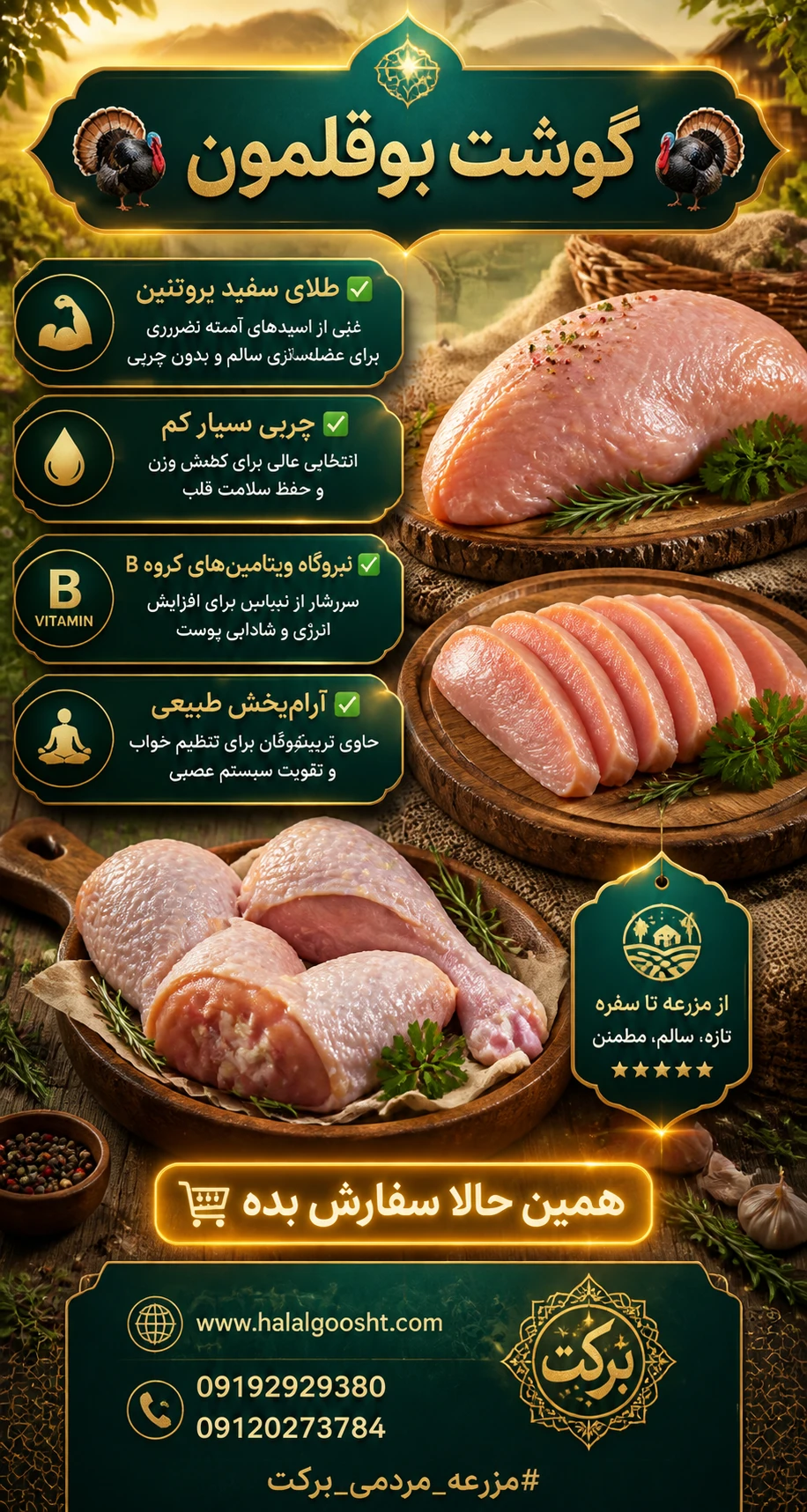 بوقلمون ارگانیک مزرعه