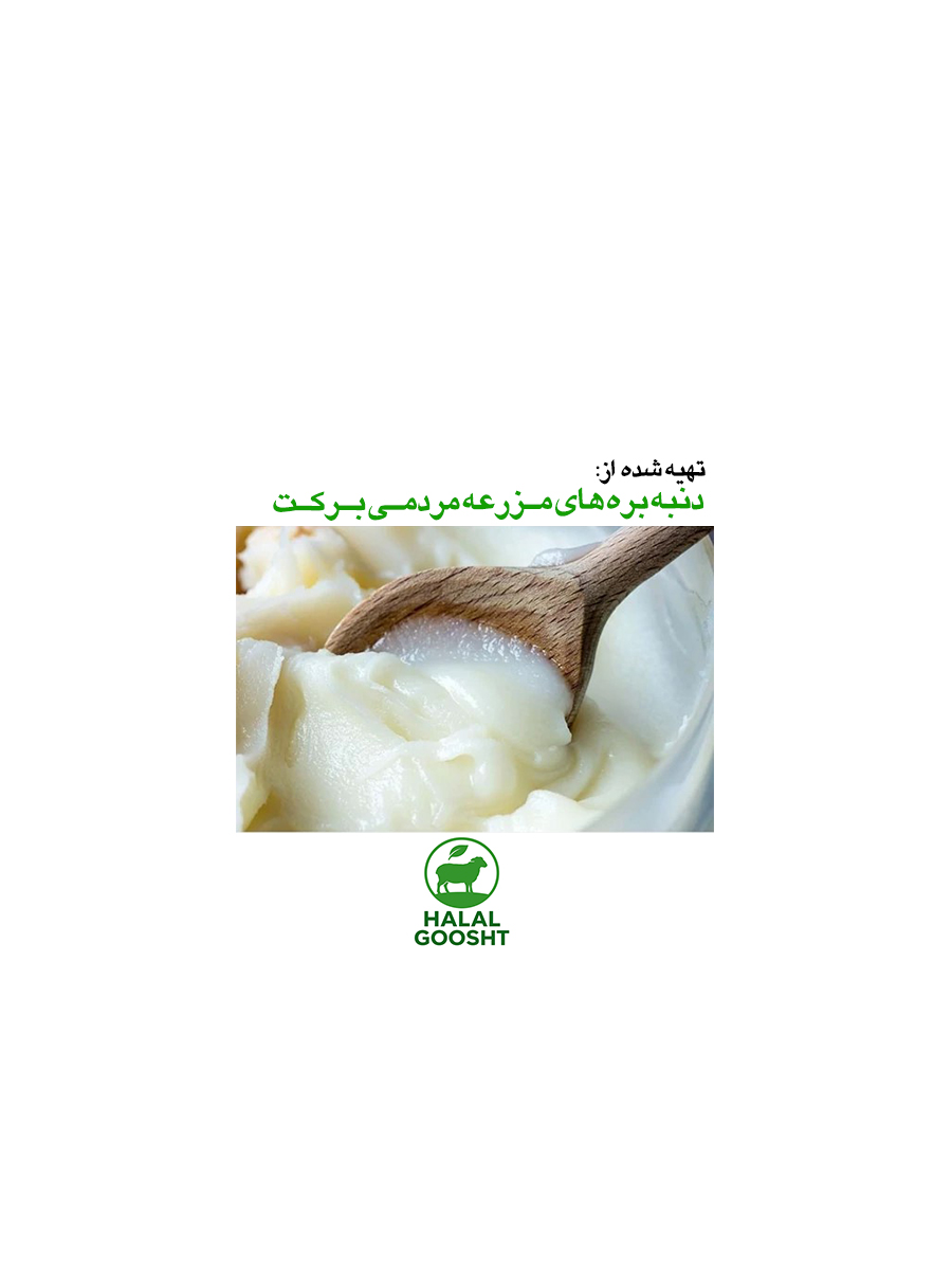 روغن دنبه