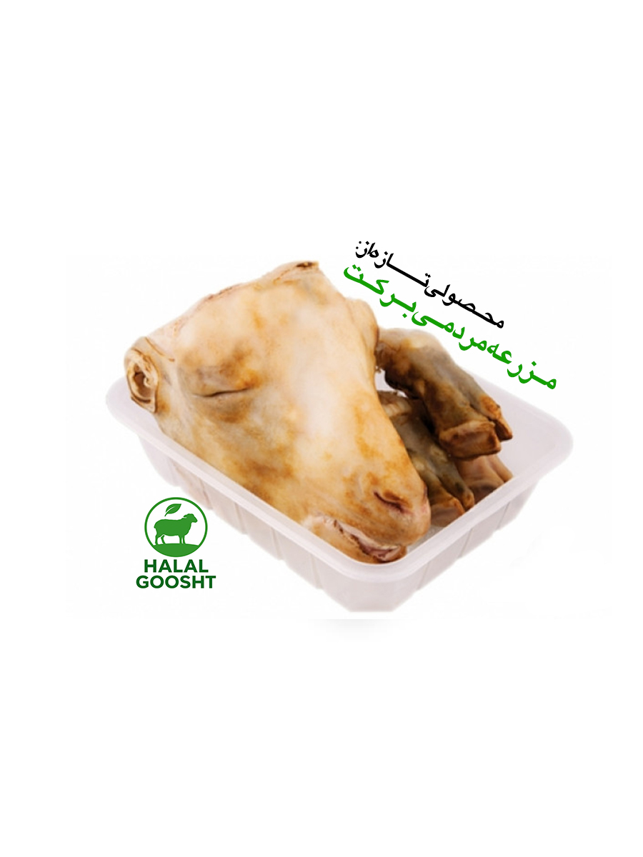 کله پاچه گوسفندی کامل تازه – کشتار روز