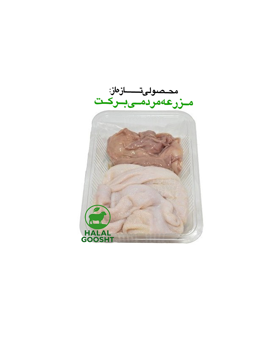 سیراب شیردان گوسفندی تازه و تمیز – کشتار روز