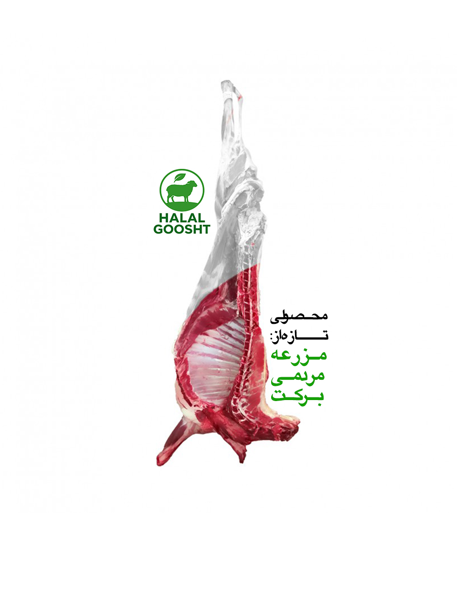 گوشت گوسفندی سردست نیم شقه تازه - قیمت روز