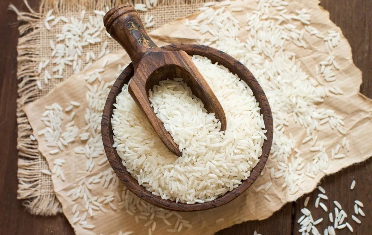 برنج دمسیاه شمال