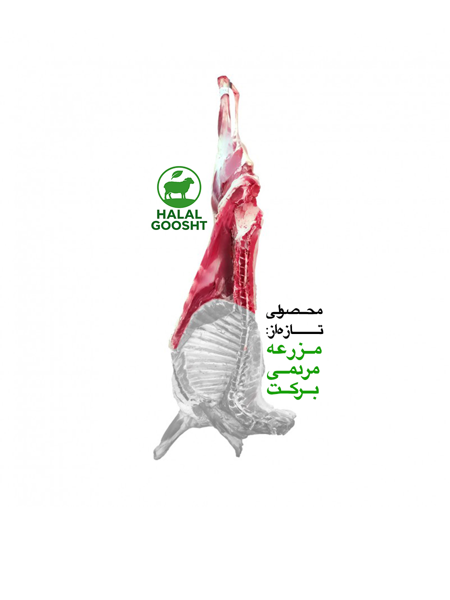 گوشت گوسفندی ران نیم شقه تازه - قیمت روز