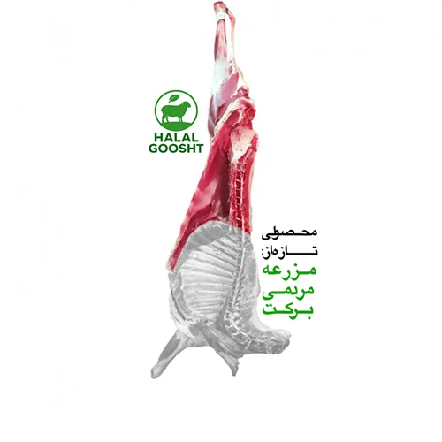 نیم شقه ران 5 کیلویی