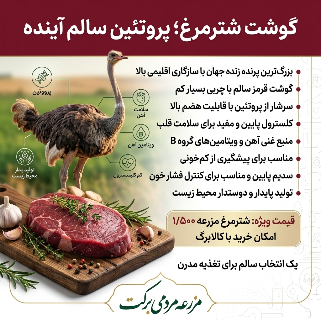 گوشت شتر مرغ تازه ارگانیک - قیمت روز